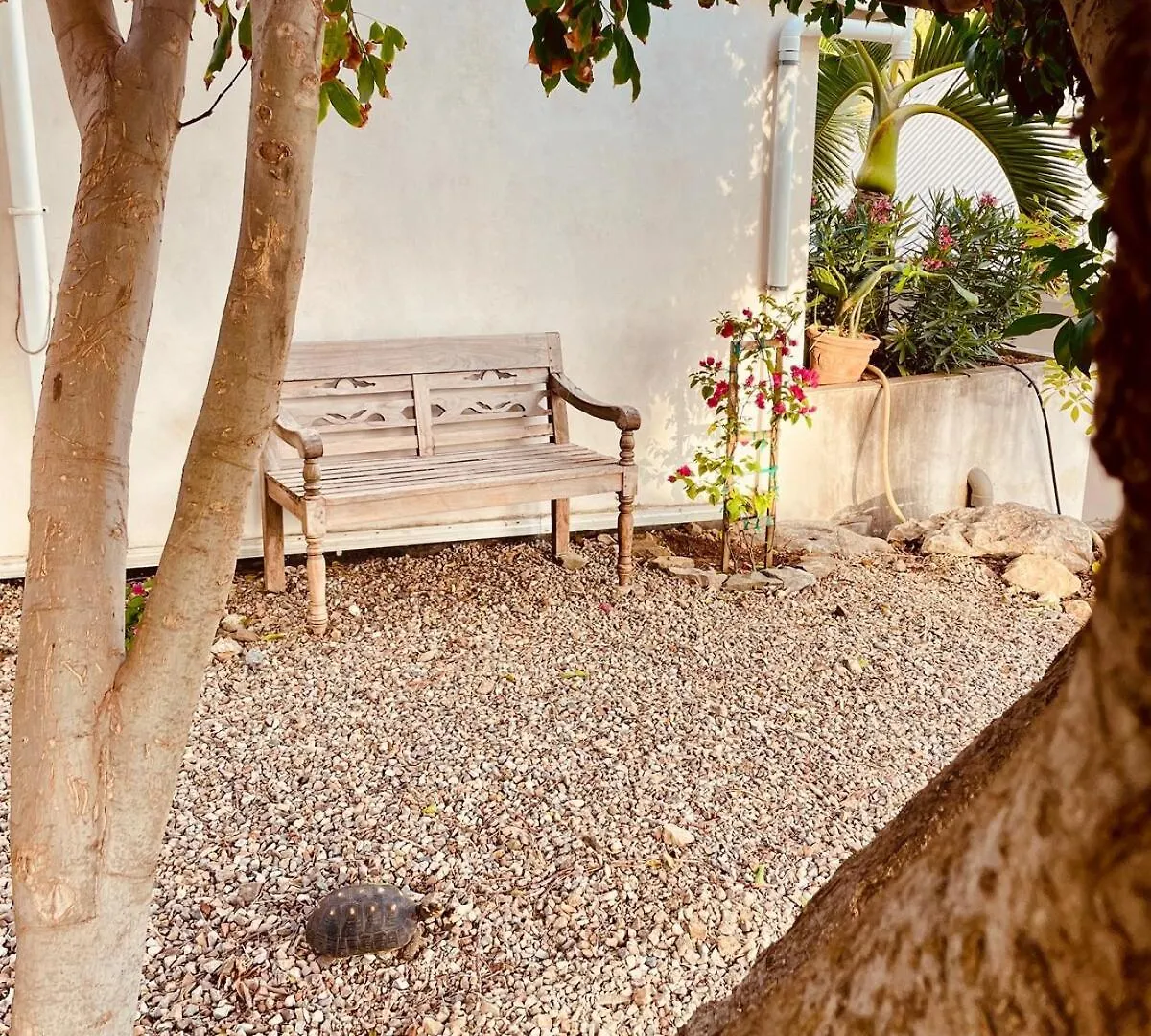 Holiday home Villa Ti Pop - Corossol Anse Des Cayes