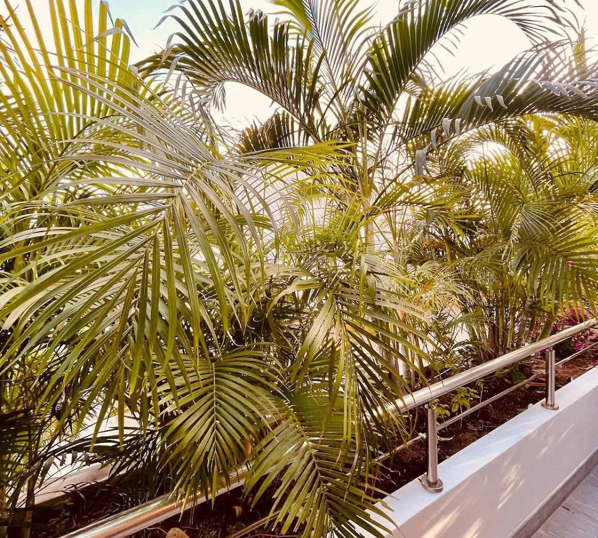 Holiday home Villa Ti Pop - Corossol Anse Des Cayes
