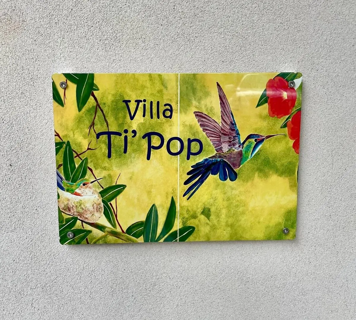 Villa Ti Pop - Corossol Anse Des Cayes 0*,